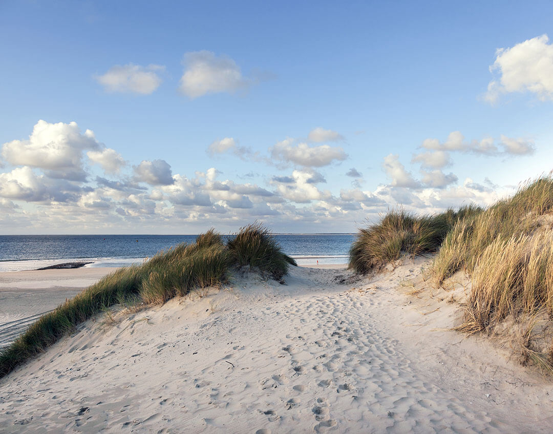 Fletcher Klavertje Vier arrangement